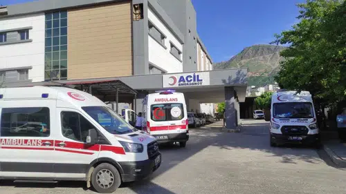 Kulp ilçesinde otomobil şarampole devrildi Feci kazada anne ve küçük oğlu can verdi