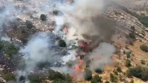 Diyarbakır'ın dört ilçesinde korkutan yangınlar Ekiplerin müdahalesiyle söndürüldü
