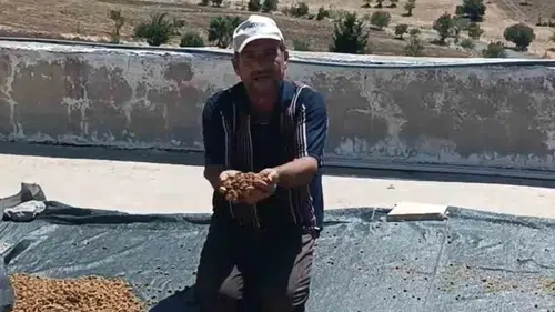 Diyarbakır Çermik'te kurutulmuş dut bereketi Tezgahlardaki yerini aldı