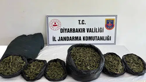Diyarbakır genelinde narkotik baskınları 119 farklı noktada 41 kilo esrar ele geçirildi