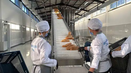 Diyarbakır Büyükşehir'in yeni ekmek fabrikası Bağlar'da üretime başladı İlk etapta 40 bin