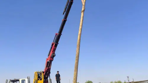 Şanlıurfa kırsalında anız yangınları enerji şebekesine ağır darbe vurdu 71 direk yandı