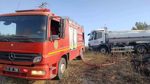 Çınar ilçesindeki anız yangını doğayı vurdu Elektrik direğindeki iki leylek telef oldu