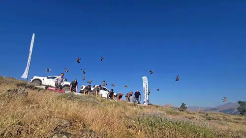 Diyarbakır'ın ekosistemi için kene nöbeti Doğaya yüzlerce kınalı keklik bırakıldı