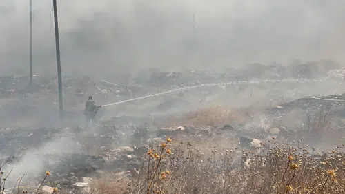 Diyarbakır Yenişehir'de korkutan anız yangını 400 dönümlük arazi küle döndü