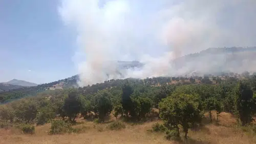 Çüngüş Geçit Mahallesi'nde alevler yükseldi Ekipler yangını söndürmek için seferber oldu