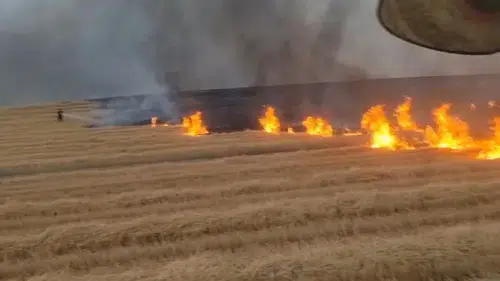 Diyarbakır Silvan'da anız yangını korkuttu 5 bin dönüm arazi küle döndü