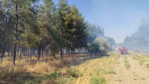 Dicle Üniversitesi Onkoloji Hastanesi çevresinde korkutan yangın Ekipler müdahale etti