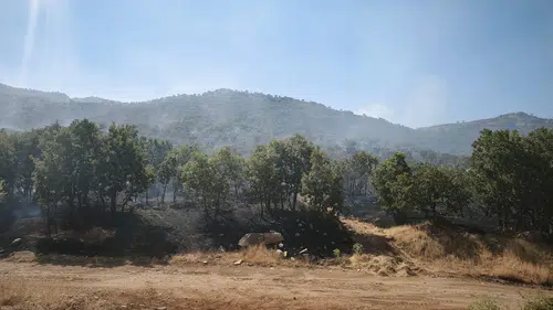 Çüngüş Geçit Mahallesi'ndeki Mırgan Yaylası'nda çıkan örtü yangını söndürüldü 80 dönüm