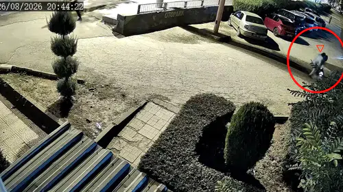Diyarbakır'da boşanma aşamasındaki eşini parkta vurdu Çocuğunu alıp kaçtı, o anlar