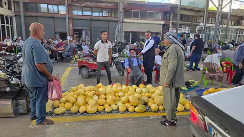 Diyarbakır'da temuhane kavunu bereketi Çermik'in meşhur lezzeti tezgahlarda yerini aldı
