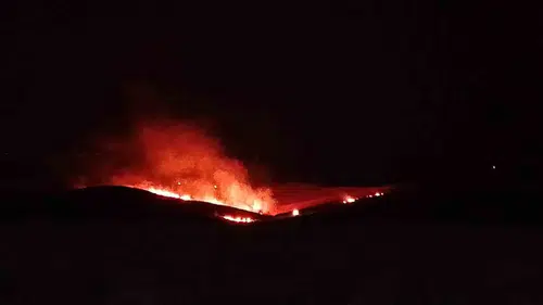 Silvan'da alevlere müdahale sürüyor Anız ve örtü yangını kontrol altına alınmaya