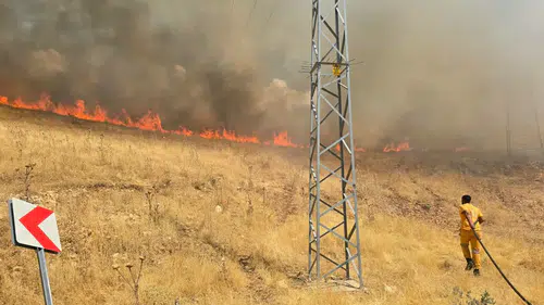 Silvan'daki örtü yangınına çifte müdahale Ekipler yerleşim yerlerini korumak için seferber