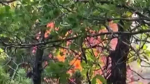 Dicle ve Hani arasındaki dağlık bölgede yangın alarmı Ekipler zorlu arazide mücadele
