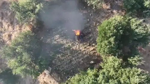 Diyarbakır'ın beş ilçesinde narkotik operasyonu Milyonlarca kök kenevir imha edildi
