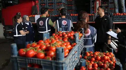 Diyarbakır'da Temmuz ayı piyasa denetimleri sonuçlandı 585 işletmeye milyonluk ceza