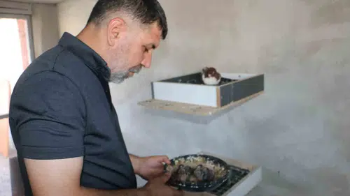 Diyarbakır Bağlar’daki güvercin oteli yangının izlerini sildi 21 farklı ırk yeniden buluştu