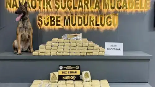 Diyarbakır Bağlar'da narkotik operasyonu: 56 kilo toz esrar ele geçirildi