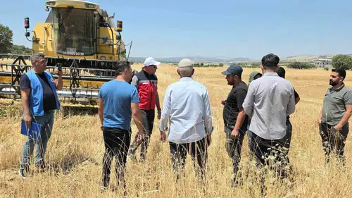 Diyarbakır Dicle'de çiftçilere müjde: Yüzde 75 hibeli mercimek tohumu desteği başladı