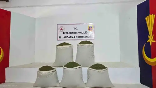 Diyarbakır'da jandarma operasyonu: Binlerce kök kenevir ve tonlarca esrar ele geçirildi