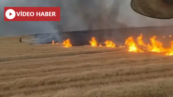 Diyarbakır Silvan'da anız yangını korkuttu 5 bin dönüm arazi küle döndü