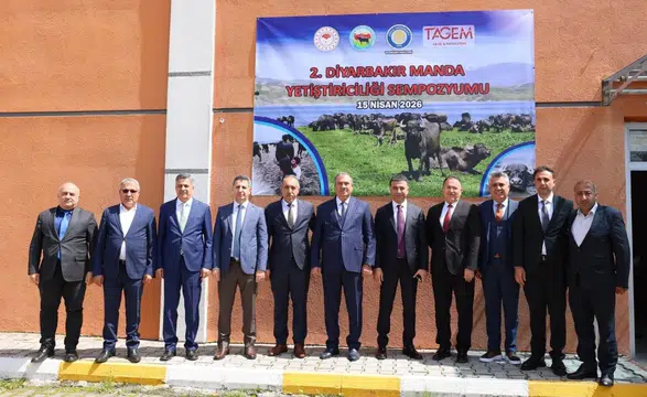 Diyarbakır'da manda yetiştiriciliğinde yeni vizyon: Yol haritası çizildi