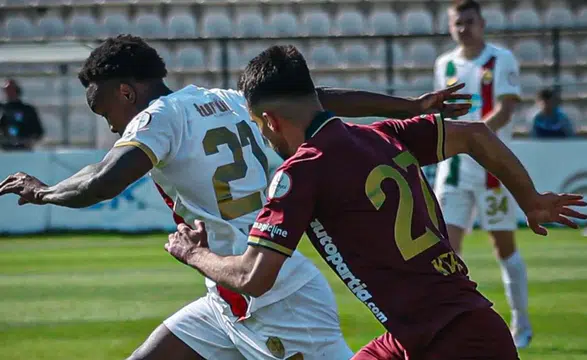 Milletvekilinden Bakan'a Amedspor önergesi: Bandırma maçını sordu