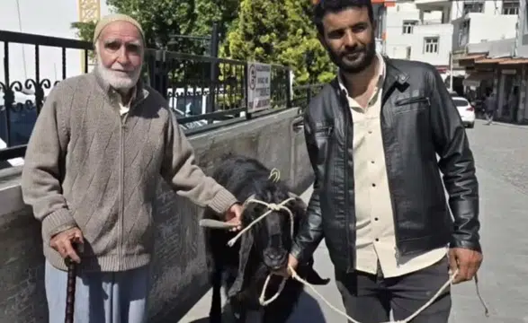 Diyarbakır Çermik'te 70 kiloluk keçi görenleri şaşırttı: İyi fiyata satıldı