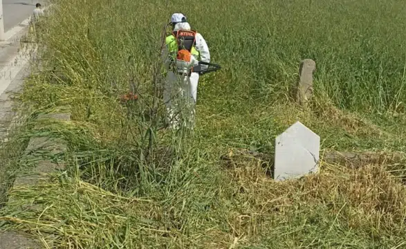 Diyarbakır'da bayram öncesi mezarlık temizliği: Ot biçme ve bakım çalışması başladı