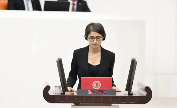 Milletvekili Cupolo Diyarbakır'da ayyuka çıkan çete iddialarını Meclis'e taşıdı