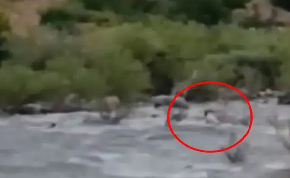 Bingöl ile Diyarbakır arasındaki çayda kaybolan gencin son görüntüleri ortaya çıktı