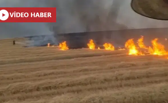 Diyarbakır Silvan'da anız yangını korkuttu 5 bin dönüm arazi küle döndü