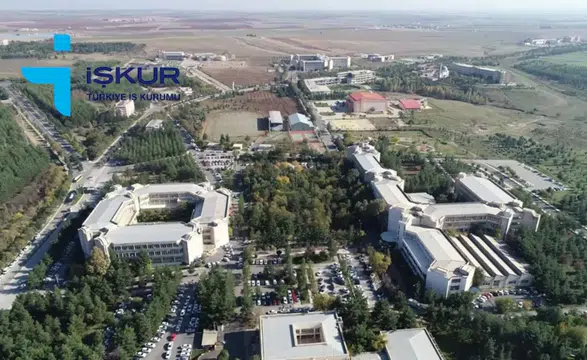 Diyarbakır'da iki kurum güç birliği yaptı, 200 kişiye iş kapısı açıldı: Başvurular başladı