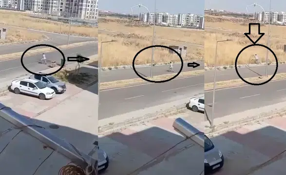 Diyarbakır Bağlar'da skandal görüntü: Çöpleri konteynerden alıp boş araziye attı