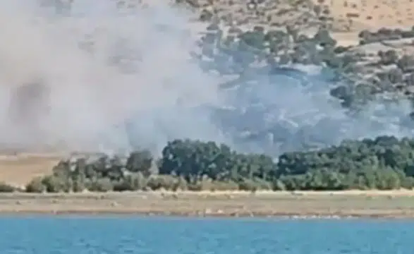 Silvan'ın iki köyünde korkutan ağaçlık yangını İtfaiye ve halkın çabasıyla söndürüldü