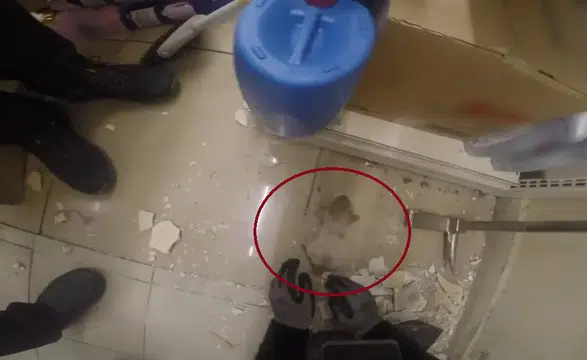 Diyarbakır Dicle Üniversitesi'nde demir profile sıkışan yavru kedi kurtarıldı