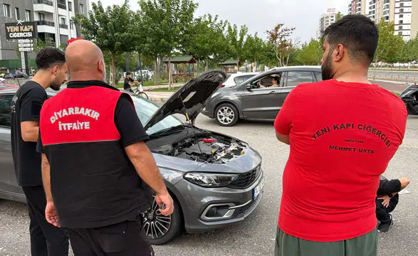 Diyarbakır Kayapınar'da otomobilin kaputuna giren yılan paniği: Vatandaşlar müdahale etti