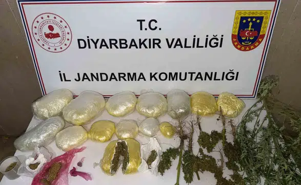 Diyarbakır genelinde büyük narkotik operasyonu: 59 bin kök kenevir ele geçirildi