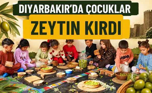 Diyarbakır'da çocuklar zeytin kırdı: Geleneksel üretimi yakından tanıdılar