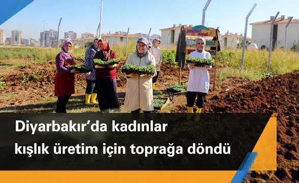 Diyarbakır'da kadınlar kışlık üretim için toprağa döndü: Kararları da onlar alıyor
