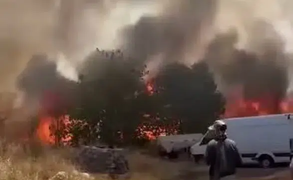 Sur ilçesinde hasat dönemi kabusu Çarıklı'da yüzlerce dönüm arazi kül oldu