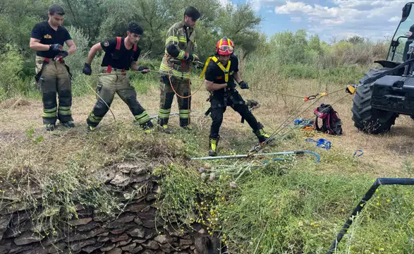 Sur ilçesinde kuyuda mahsur kalan yaban domuzu itfaiyenin çabasıyla kurtarıldı