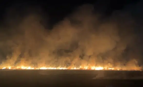 Diyarbakır Bağlar’da geceyi aydınlatan anız yangını İtfaiye ekipleri müdahale etti