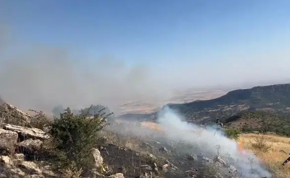 Hazro’da korkutan örtü yangını 20 hektarlık alan küle döndü, inceleme başladı