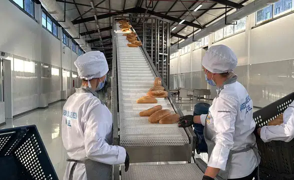 Diyarbakır Büyükşehir'in yeni ekmek fabrikası Bağlar'da üretime başladı İlk etapta 40 bin