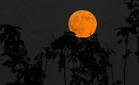 Diyarbakır semalarında büyüleyici gece Dolunay, deprem konutlarıyla kare kare görüntülendi