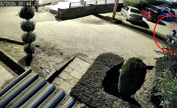 Diyarbakır'da boşanma aşamasındaki eşini parkta vurdu: Çocuğunu alıp kaçtı