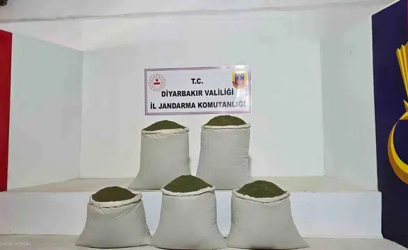 Diyarbakır'da jandarma operasyonu: Binlerce kök kenevir ve tonlarca esrar ele geçirildi