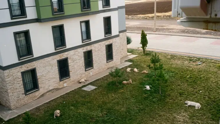 Diyarbakır TOKİ'de çocuklar sokağa çıkamıyor, aileler tedirgin: Sebebi belli oldu