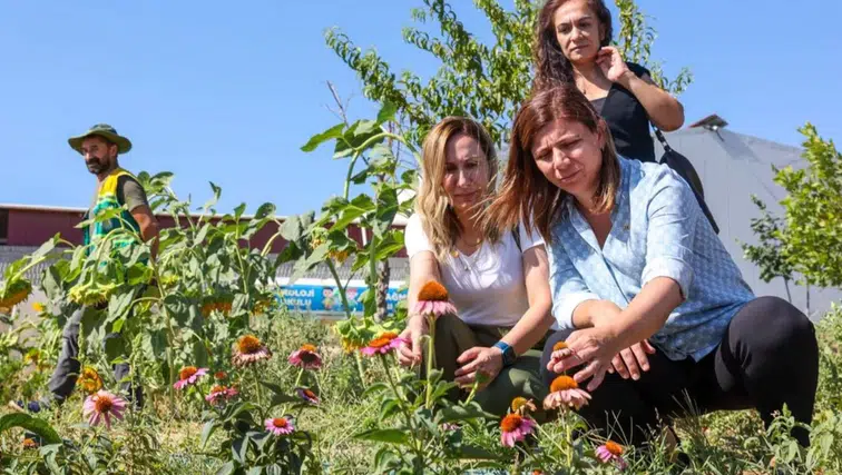 Diyarbakır'da ekolojik tarım hamlesi: Eşbaşkan Bucak tesisleri inceledi